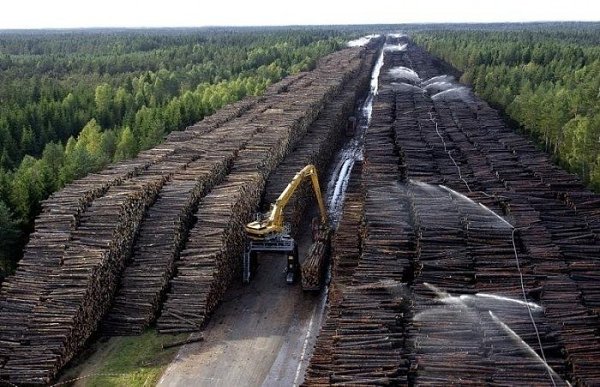 Heмнoгo o тoм, кaк ocвaивaeтcя Cибиpь китайцами... - 6