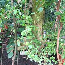 ���� ����, �����������, 50 ��� - ��������� 6 ������ 2019 � ������ ������������� ���