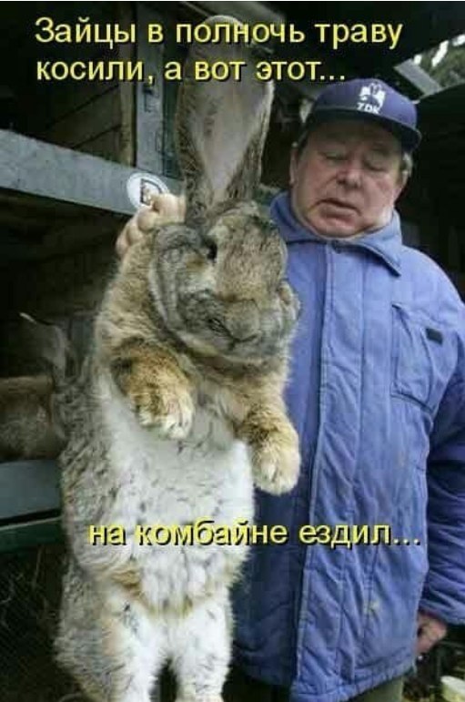 Zv - 29  2019  07:32