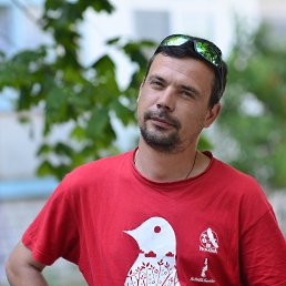 Elirat, , 39 