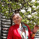 ���� ����, ����������, 62 ���� - ��������� 19 ��� 2019 � ������ ���� ����������