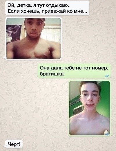   -  ,    - 8