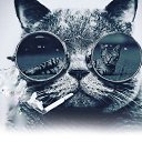 ���� ����, ������, 46 ��� - ��������� 2 ��� 2019 � ������ ���� ����������