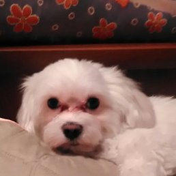 Allo4ka, ������, 58 ���