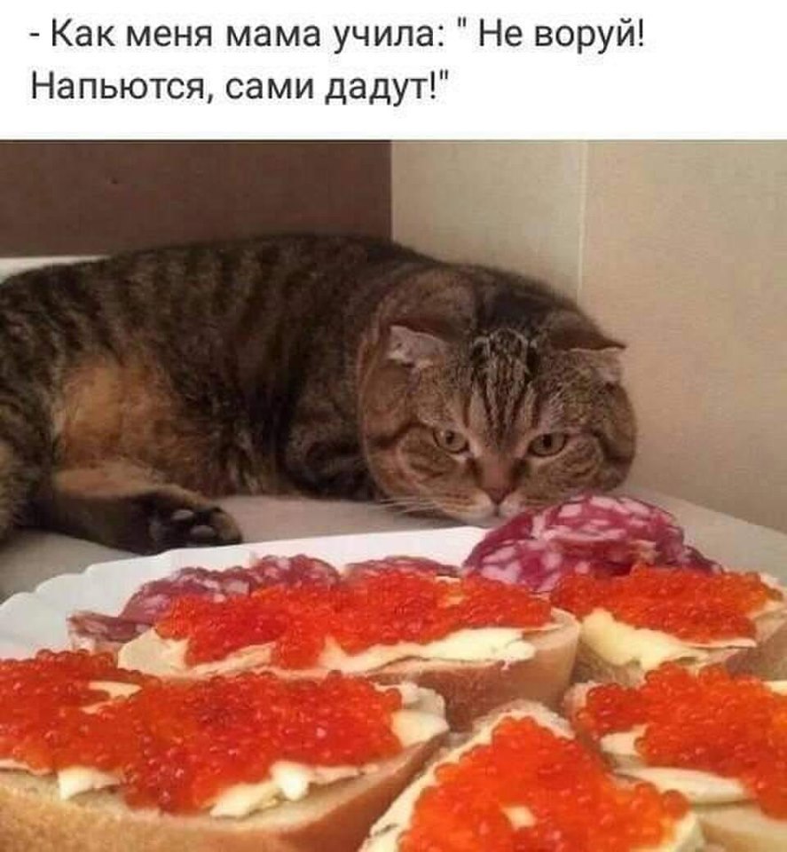 ��� ��� ��������