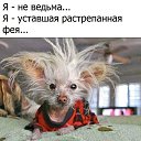 ���� ��������, ������, 49 ��� - ��������� 17 ������ 2019 � ������ ���� ����������