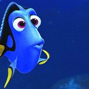 �����, 34 ����, ������