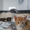 ���� �������, �����-��������� - ��������� 23 ������� 2019 � ������ �����