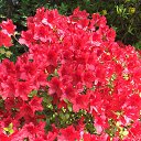 ���� Valentina, ������, 61 ��� - ��������� 14 ��� 2019