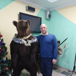 ������, ����, 46 ���