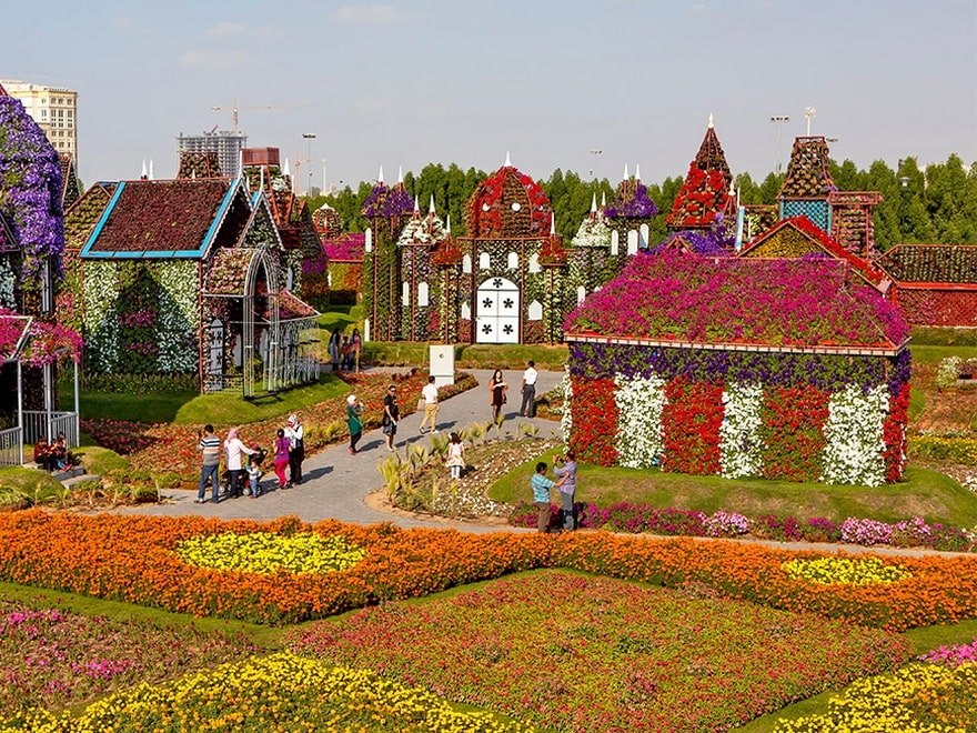     (Dubai Miracle Garden).  ? - 5