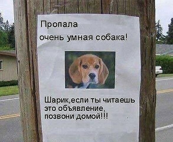 ☆ ☆ - 30  2019  18:54