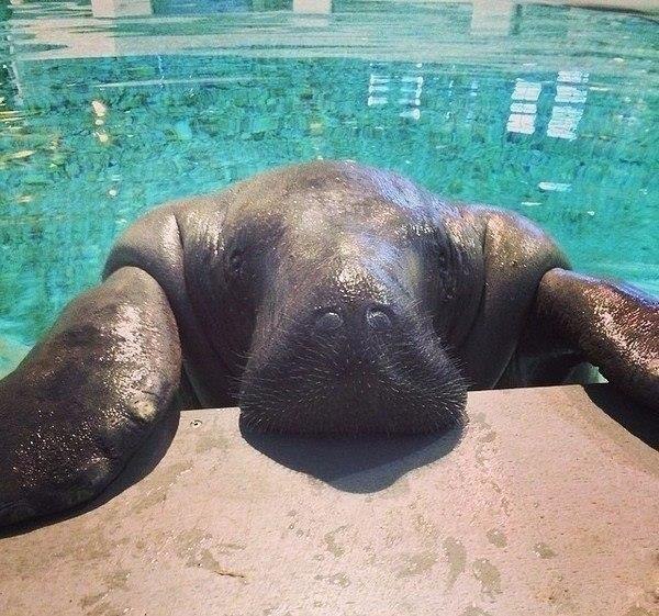  ,    ,  66 ! #animal@travel.blog