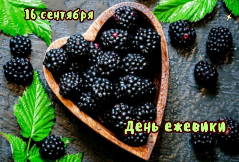   ,    . - 15  2019  21:58