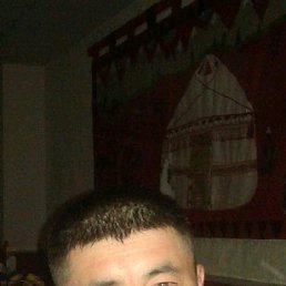 �����, ����������, 44 ����