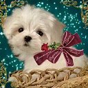 ���� �����, ������������, 61 ��� - ��������� 7 ������� 2019 � ������ ���� ����������