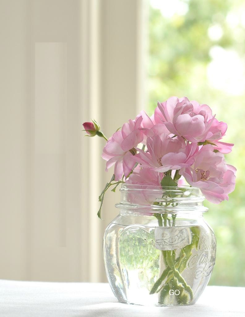   ,    . - 27  2019  09:42