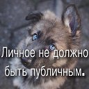  ,  -  25  2019    