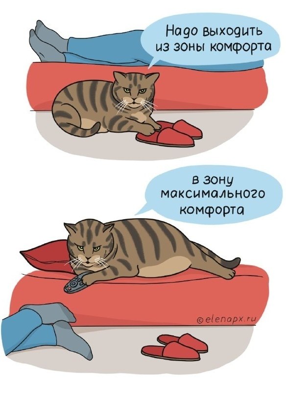   - 10  2019  13:15