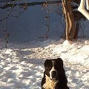 ������� �� ��������. �� ������� ���� ����������