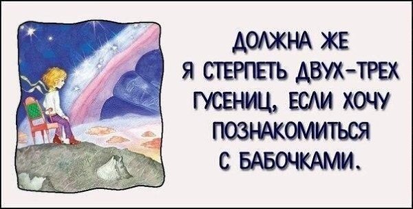 10 самых вдохновляющих цитат из «Маленького принца».#настроение@ican - 5