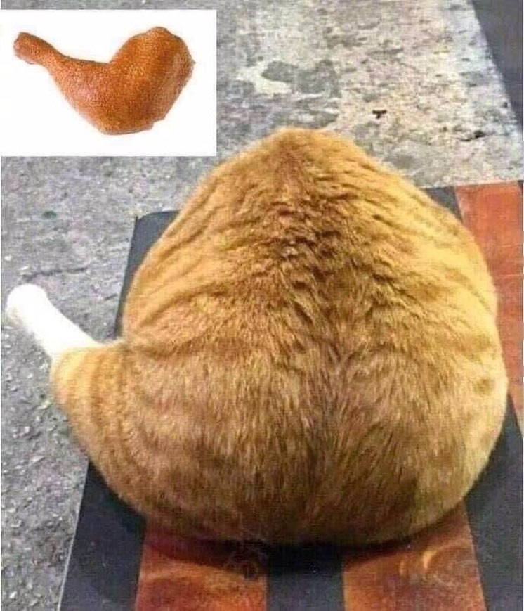    -   :3