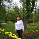 ���� ���������, ���������, 68 ��� - ��������� 8 ��� 2019 � ������ ������ ��������