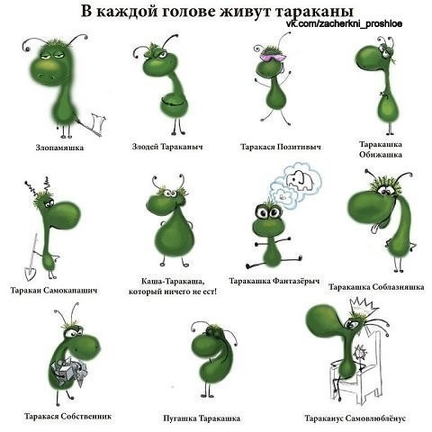 a aa