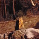 ���� �������, �����-��������� - ��������� 4 ������ 2020 � ������ �������� 2020�