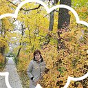 ���� �����, ����� - ��������� 8 ������� 2019 � ������ ���� ����������