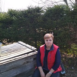 �����, ������, 66 ���