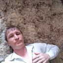 ���� �����, �����-���������, 43 ���� - ��������� 3 ���� 2019 � ������ ���� ����������