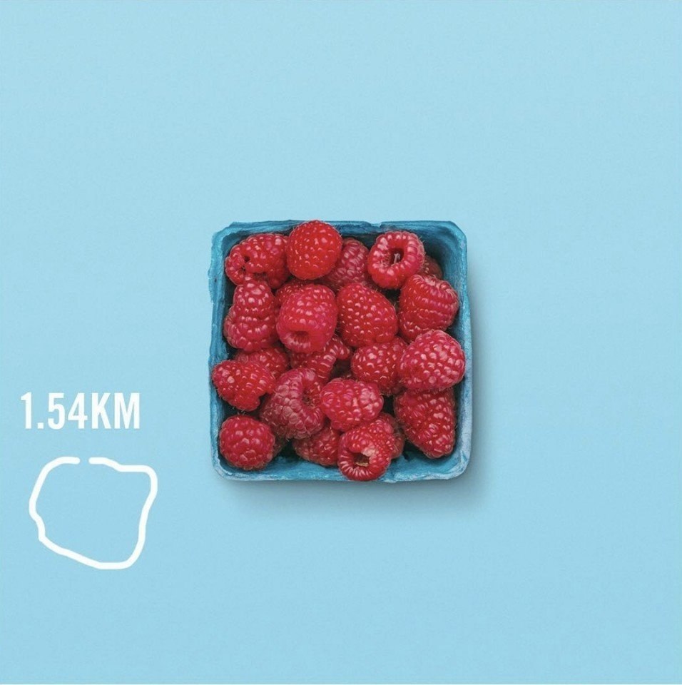    social_calories (Instagram). ,    , ... - 7