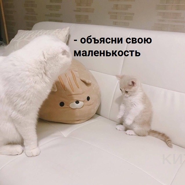  - 22  2019  02:05
