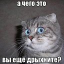 ���� �������, ���������� ����� - ��������� 23 �������� 2019 � ������ �������