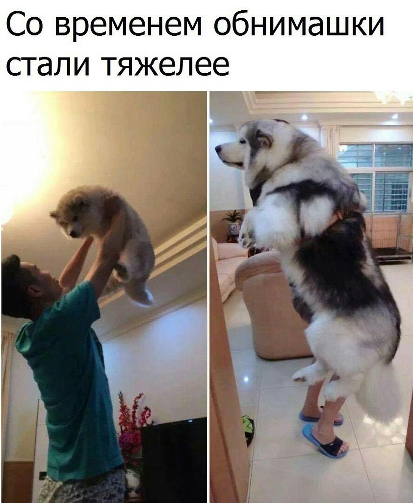  - 12  2019  03:44