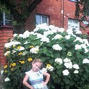 ���� ���������� �������, ��������, 36 ��� - ��������� 2 �������� 2019