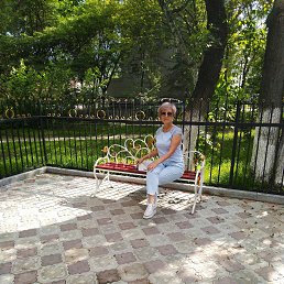 �������, �������������, 66 ���