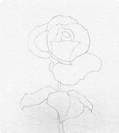 e po aape.Aop: Barbara Fox - 2