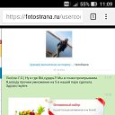 ���� �����, �����-��������� - ��������� 4 ������� 2019 � ������ ������ ��������