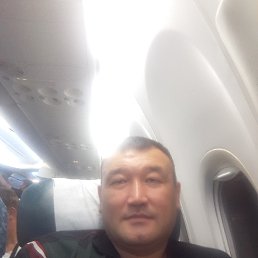 �����, �������, 46 ���