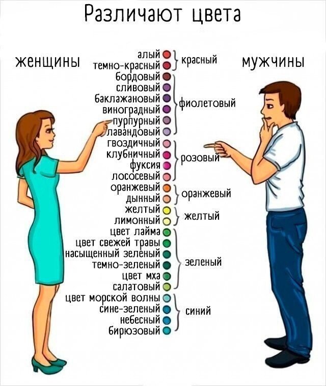   ,   ..    - 8