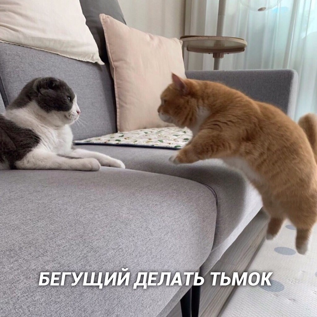 Bu o: - 6