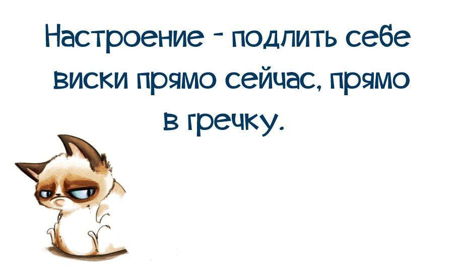   ! - 17  2019  11:33