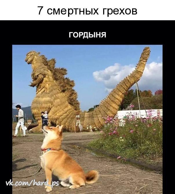  - 1  2019  17:37