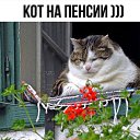 ���� ��������, ���������, 55 ��� - ��������� 15 ������� 2019 � ������ ������ ��������