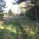 � ������� �� ������ � ������� 2019 �. �� ������� ������