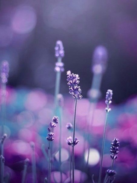 Art & Fun - 29  2019  03:46 - 5