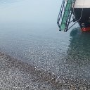 ���� ������, ������ - ��������� 24 ���� 2019 � ������ ���� ����������