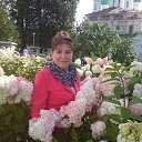 ���� �������, ���������, 67 ��� - ��������� 22 ������� 2019 � ������ ���� ����������